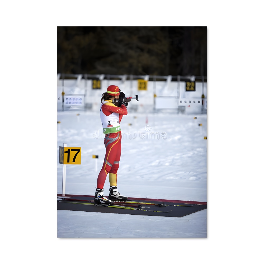 Poster Ski & Tir